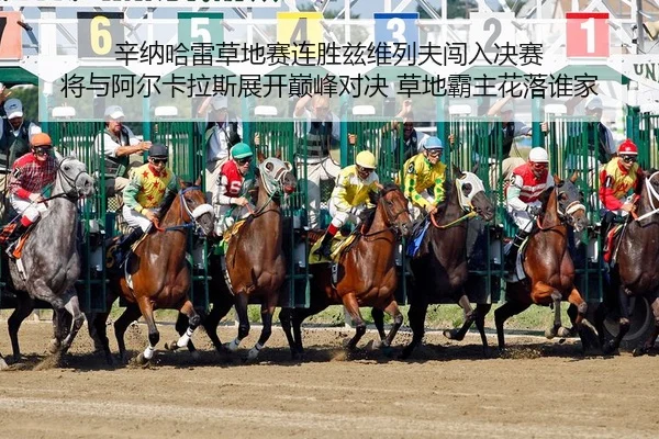 辛纳哈雷草地赛连胜兹维列夫闯入决赛 将与阿尔卡拉斯展开巅峰对决 草地霸主花落谁家
